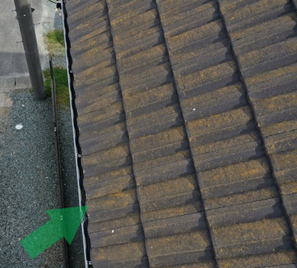 カビが発生している屋根