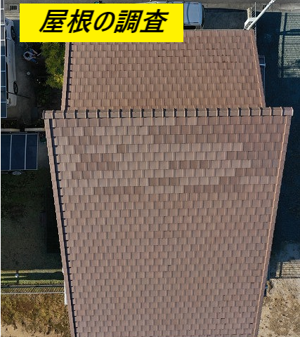 屋根調査