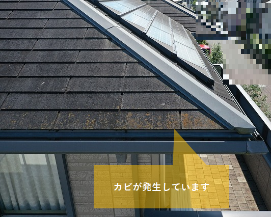 屋根のカビ